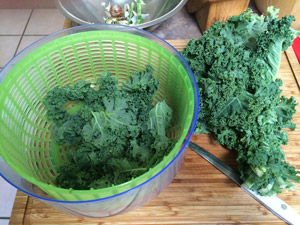 cutting-up-the-kale.jpg