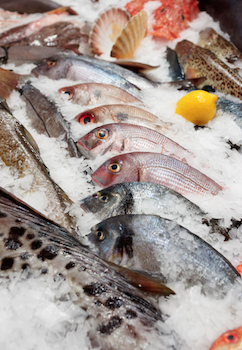 fresh-fish-ice-market-web.jpg