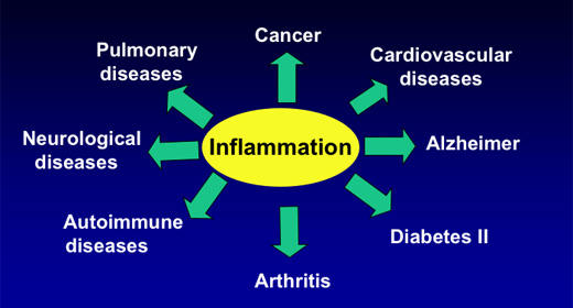 Inflammation: The Beginning Stage of all Disease